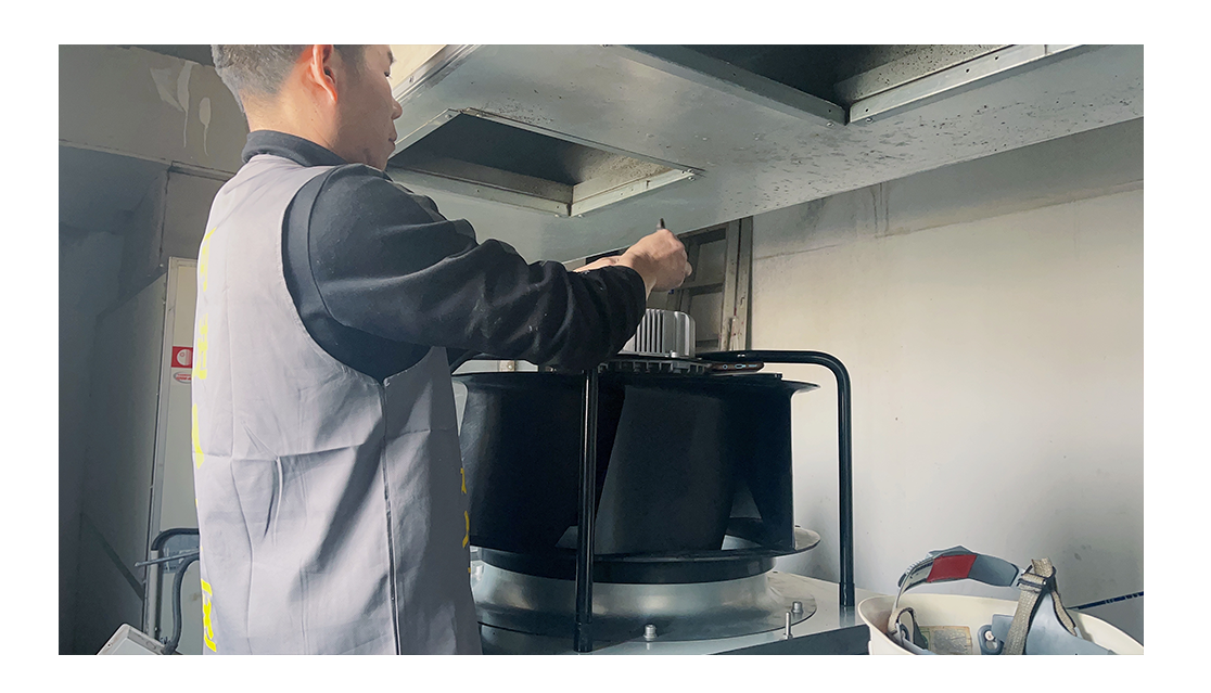 16832573865203549237.png 未标题-9.png